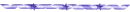 purple dividers