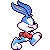 bunny running