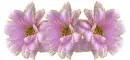 3 pink flower