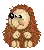 hedgehog