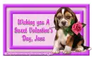 Valentine's Day Puppy - Jane
