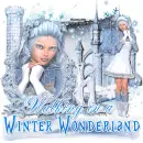 Walking in Winter Wonderland