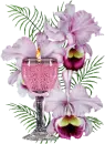 candles and orchids
