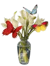 flowers and butterfly