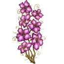 purple flowers