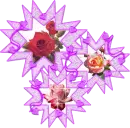 roses