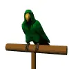 green parrot