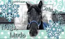 linda