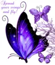 Spread your wings & fly!