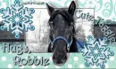 robbie