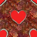 heart background