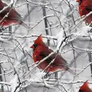 Winter ~ background