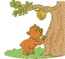 bear with bees