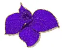 purple leaves