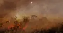 wildfires