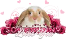Somebunny Loves You