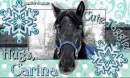 Carina