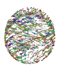 swarm