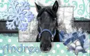 Andrea