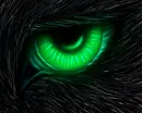 Watcher