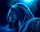 Beautiful horse