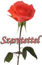 red rosa