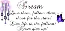 Dream