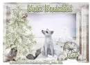 Winter Wonderland - Jane