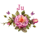 Chinta (Ju)