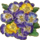 pansies