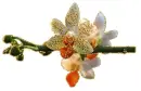 orchids