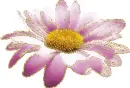 purple flower