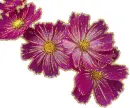 4 purple flower