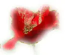 poppy