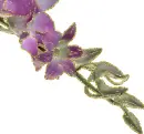 purple orchid