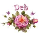 Deb