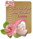 Shine- Linda