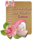 Shine- Connie
