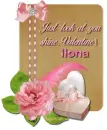 Shine- Ilona