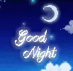 good night 