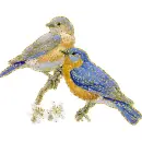 2 bird