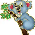 koala