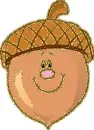 acorn