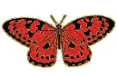 red butterfly