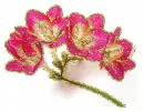 freesia