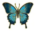 blue butterfly