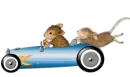 Rat Race