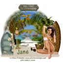 Welcome to Paradise- Jane
