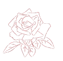 rose