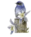 blue bird and flower